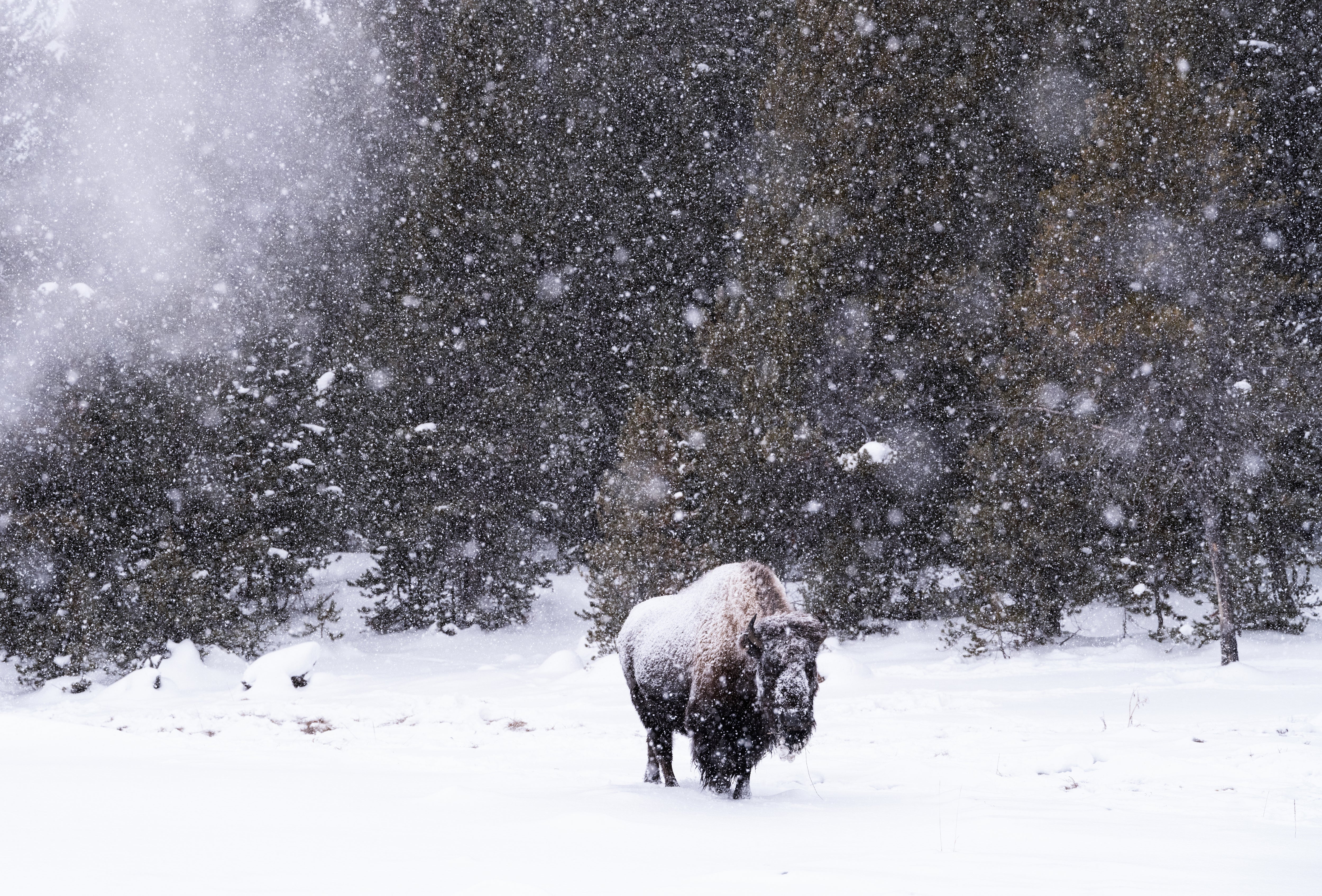 Victor Liu | GF45-100mmF4 R LM OIS WR