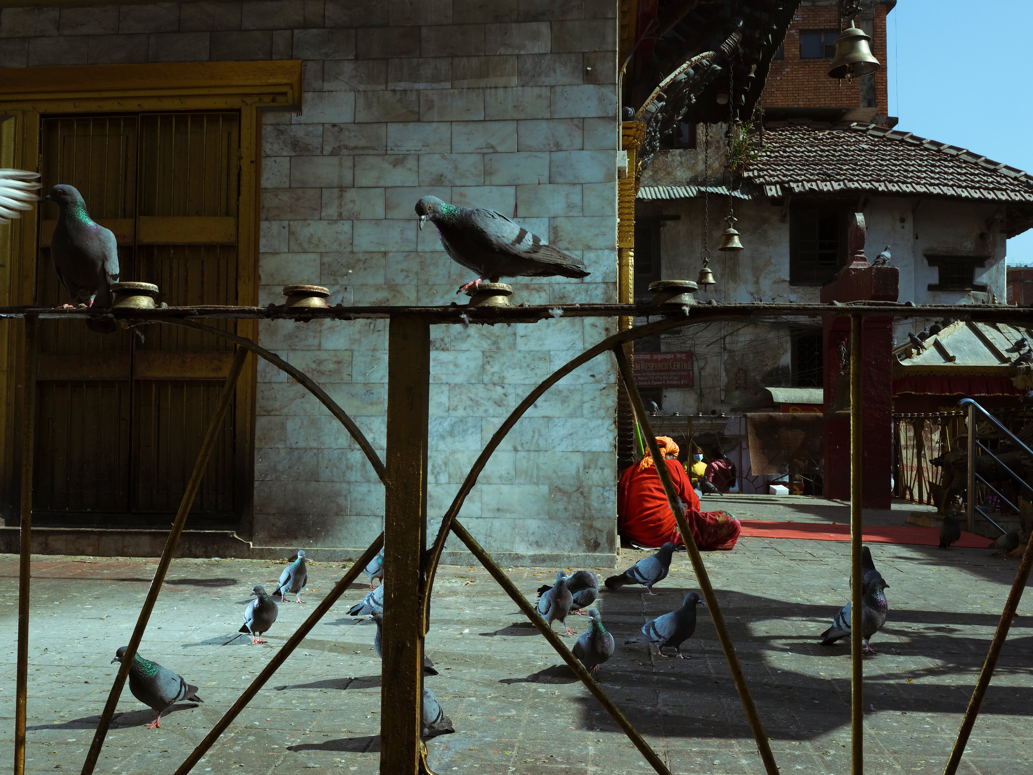 Zack Zhang | GFX100RF