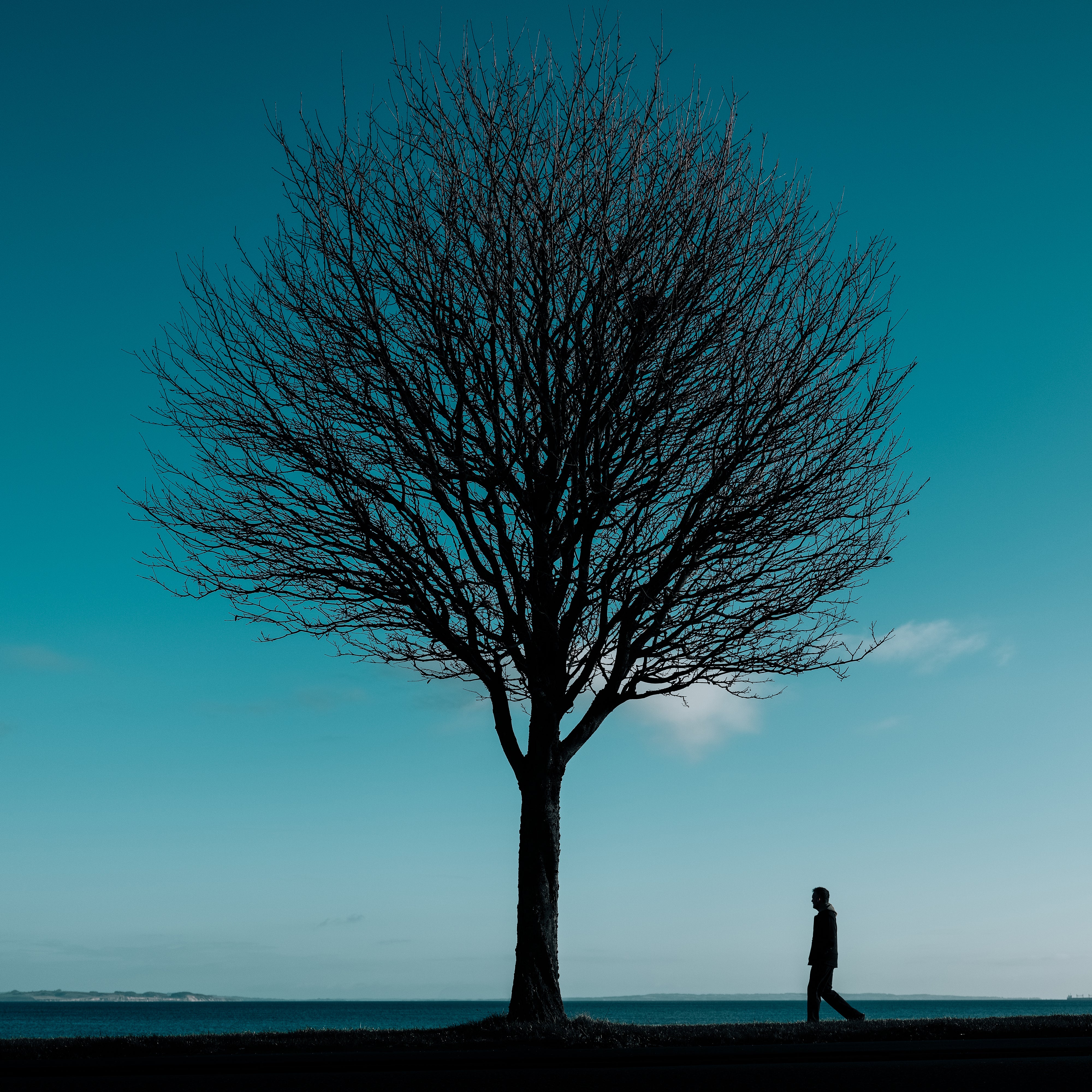 Jonas Dyhr Rask | GFX100RF