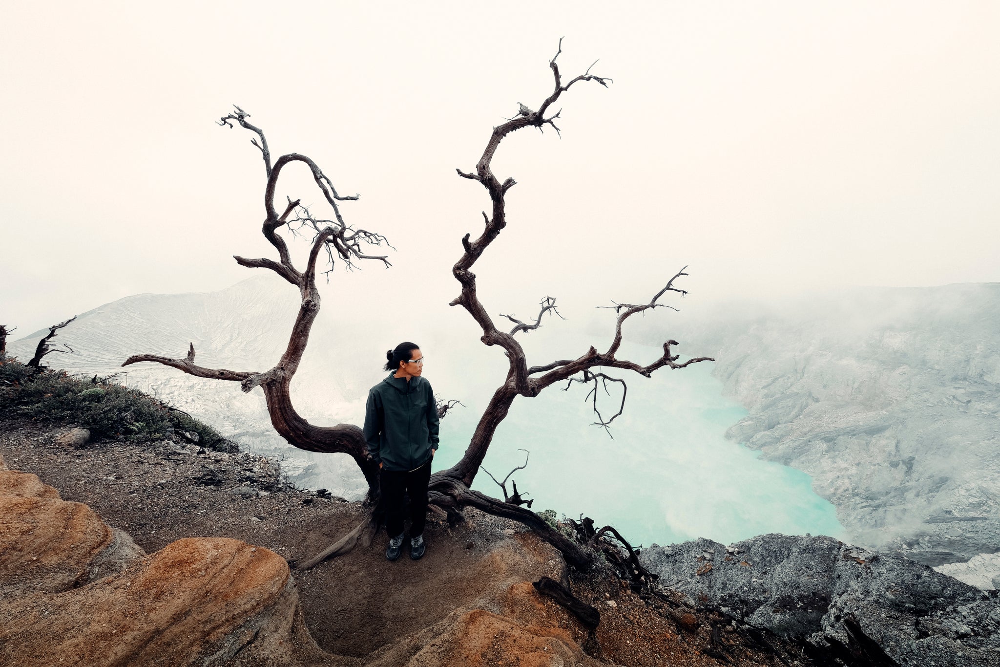 Khoai Lang Thang | X-S20