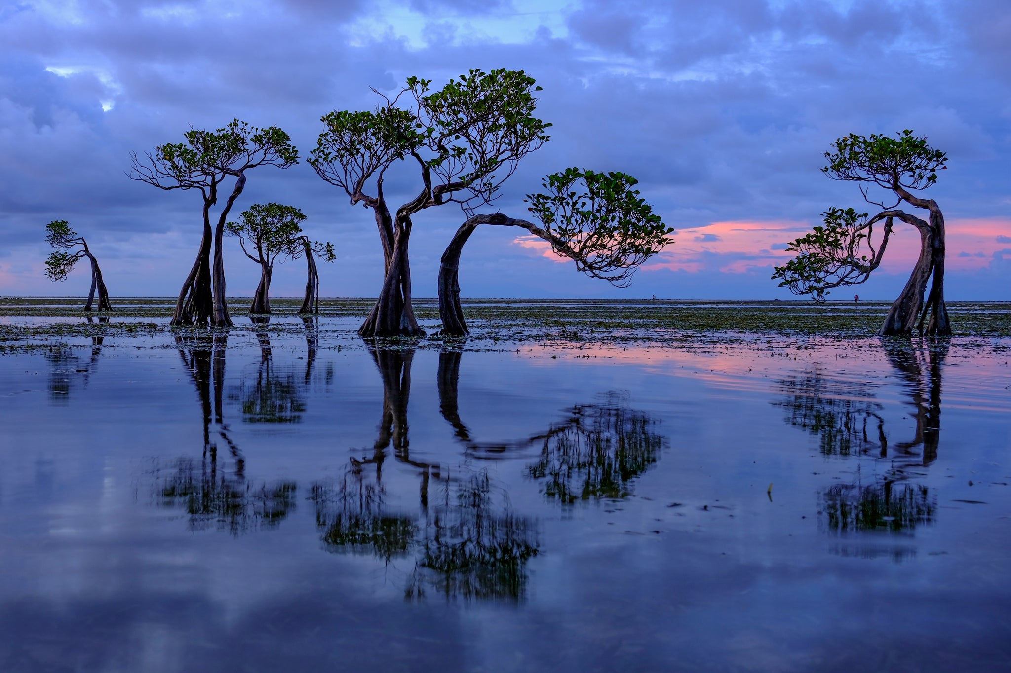 Zao Yanming | X-S20