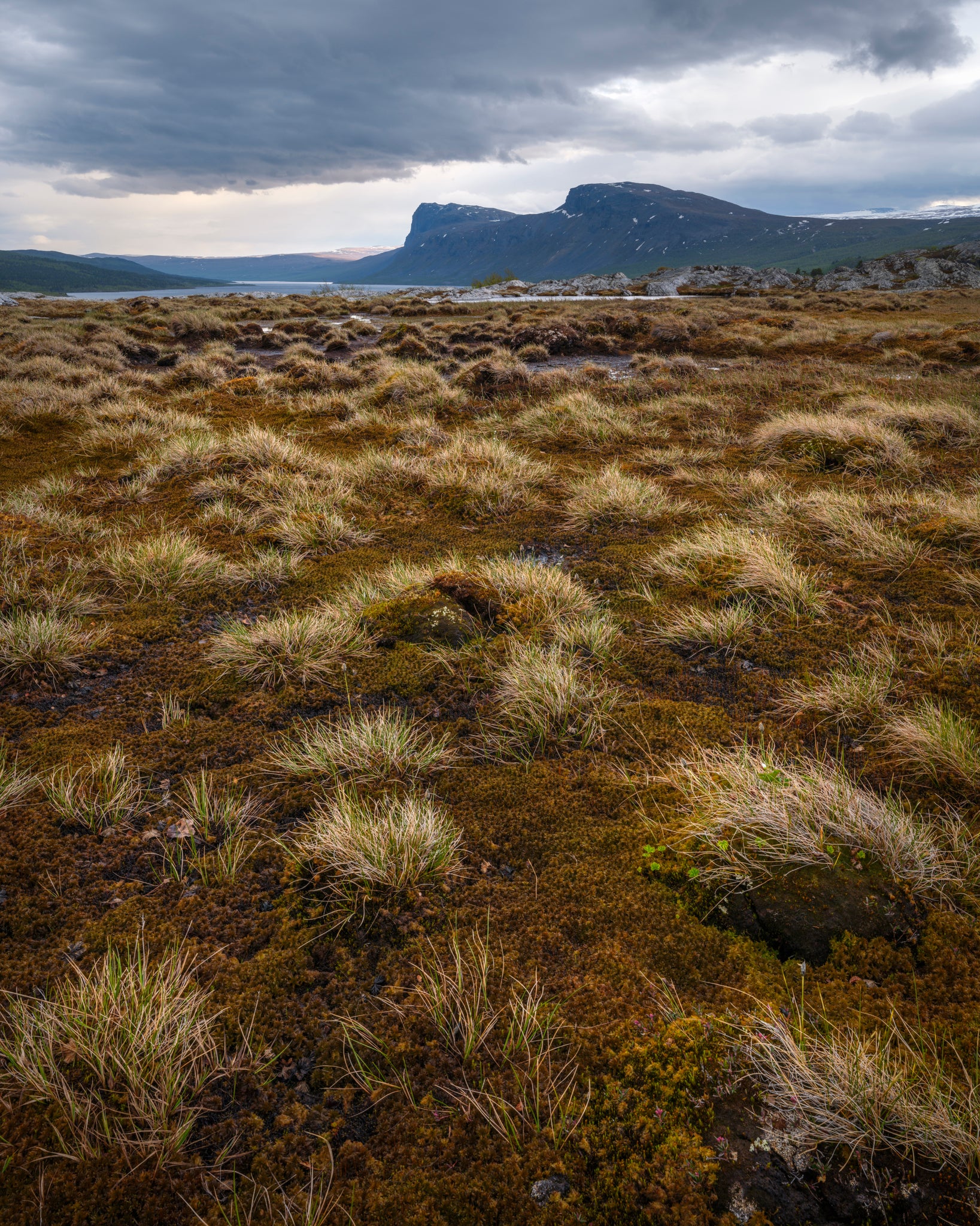 Serkan Gunes | GF 30mm F5.6 T/S