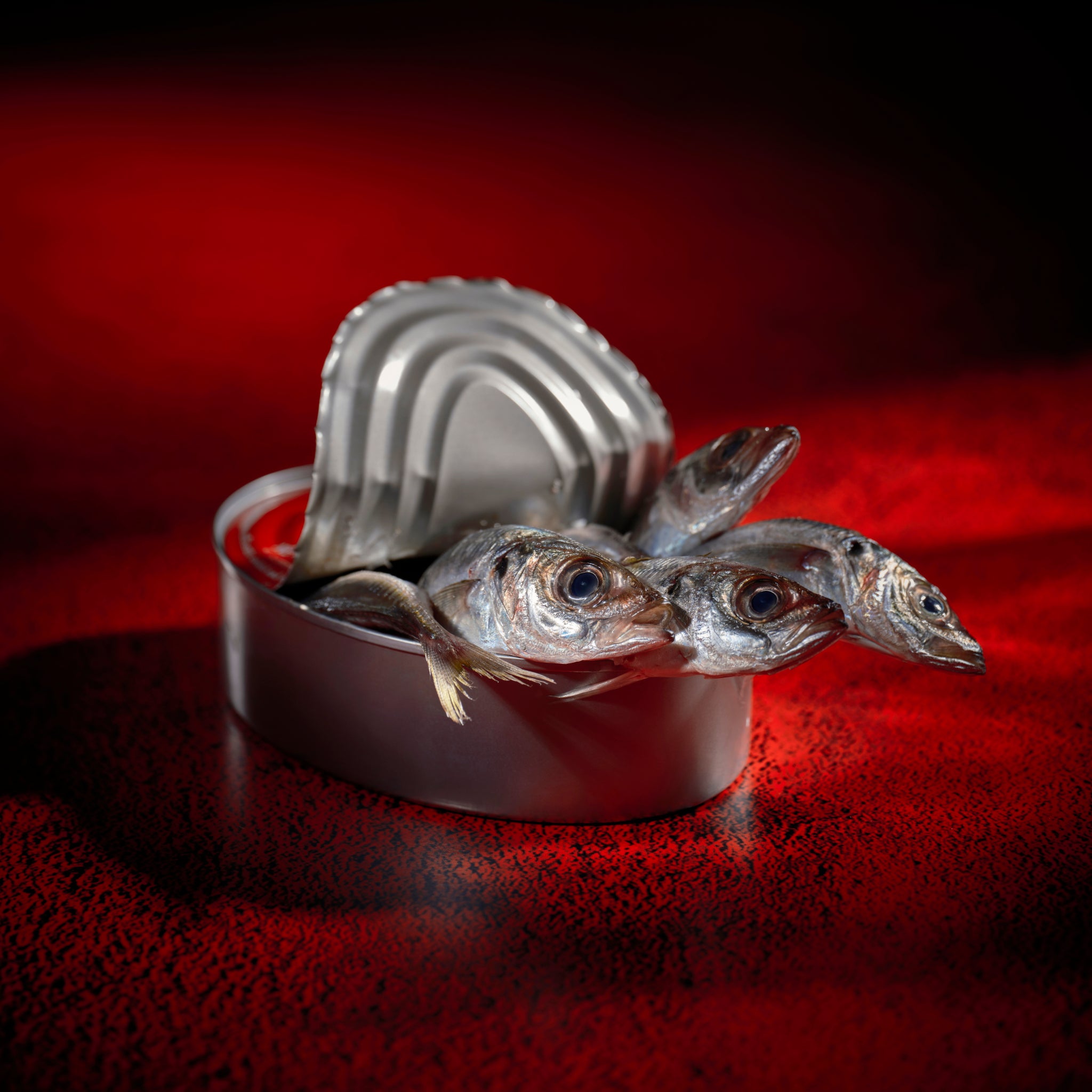 Jonathan Bielaski | GF 110mm F5.6MM T/S Macro