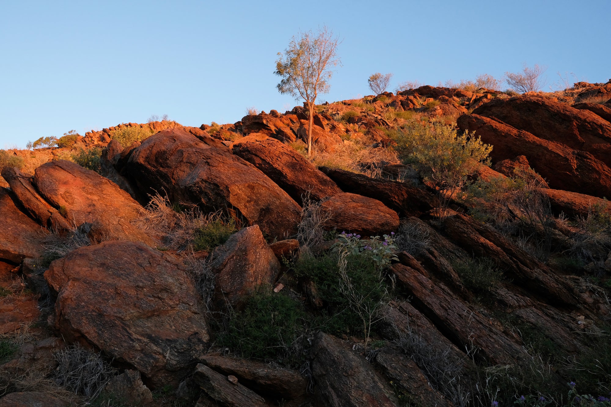 Michael Coyne | XF23mmF2 R WR