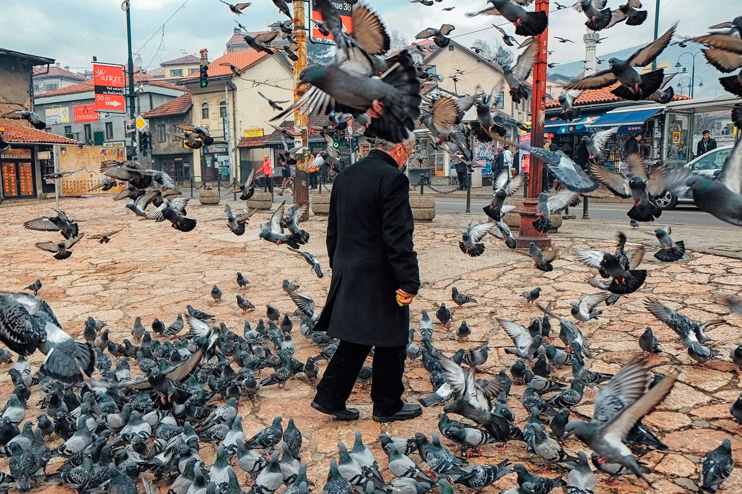 Afton Almaraz | XF18-55mmF2.8-4 R LM OIS