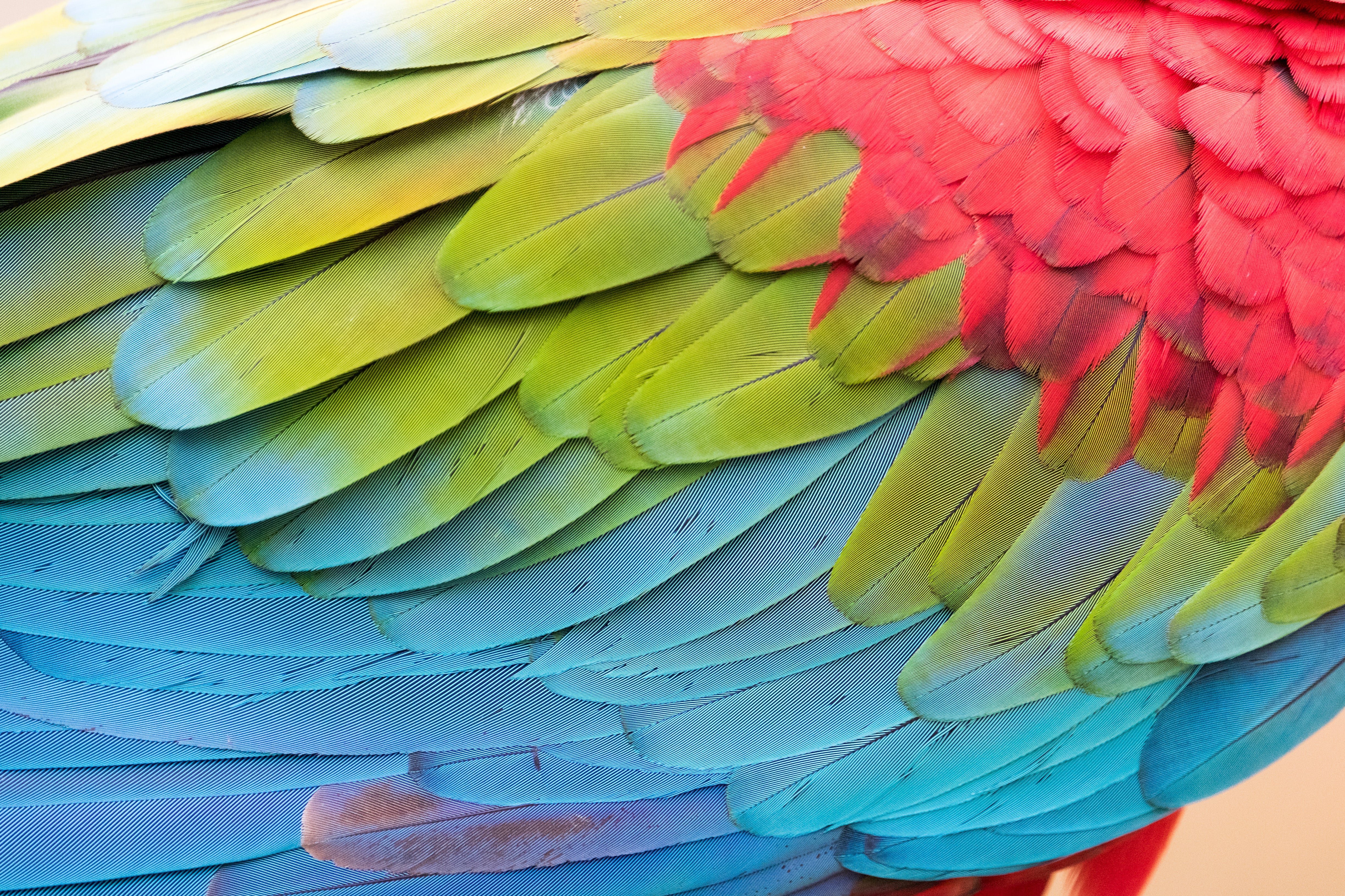 Michael Denis Huot | XF100-400mmF4.5-5.6 R LM OIS WR