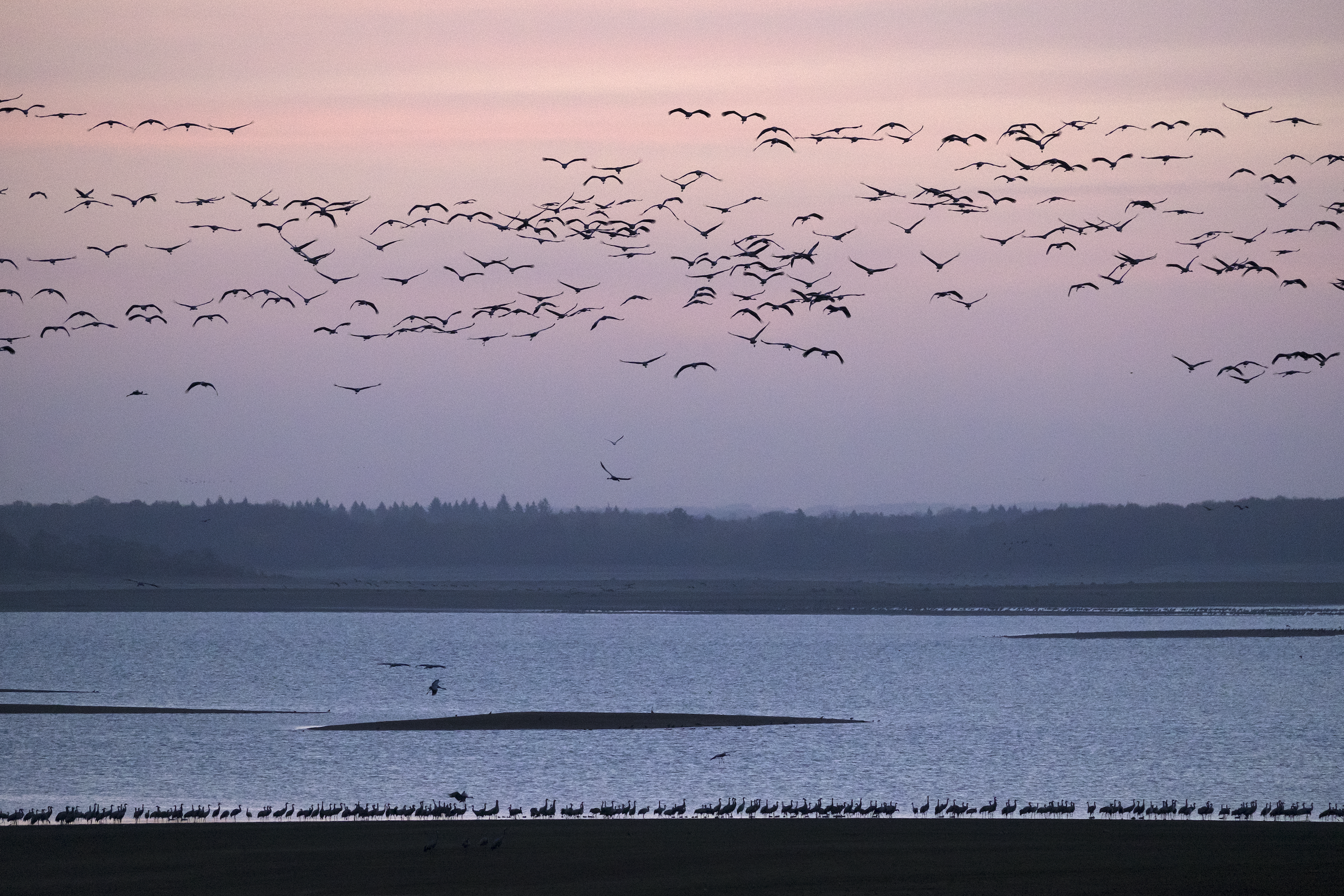 Pascal Bourguigon | XF100-400mmF4.5-5.6 R LM OIS WR