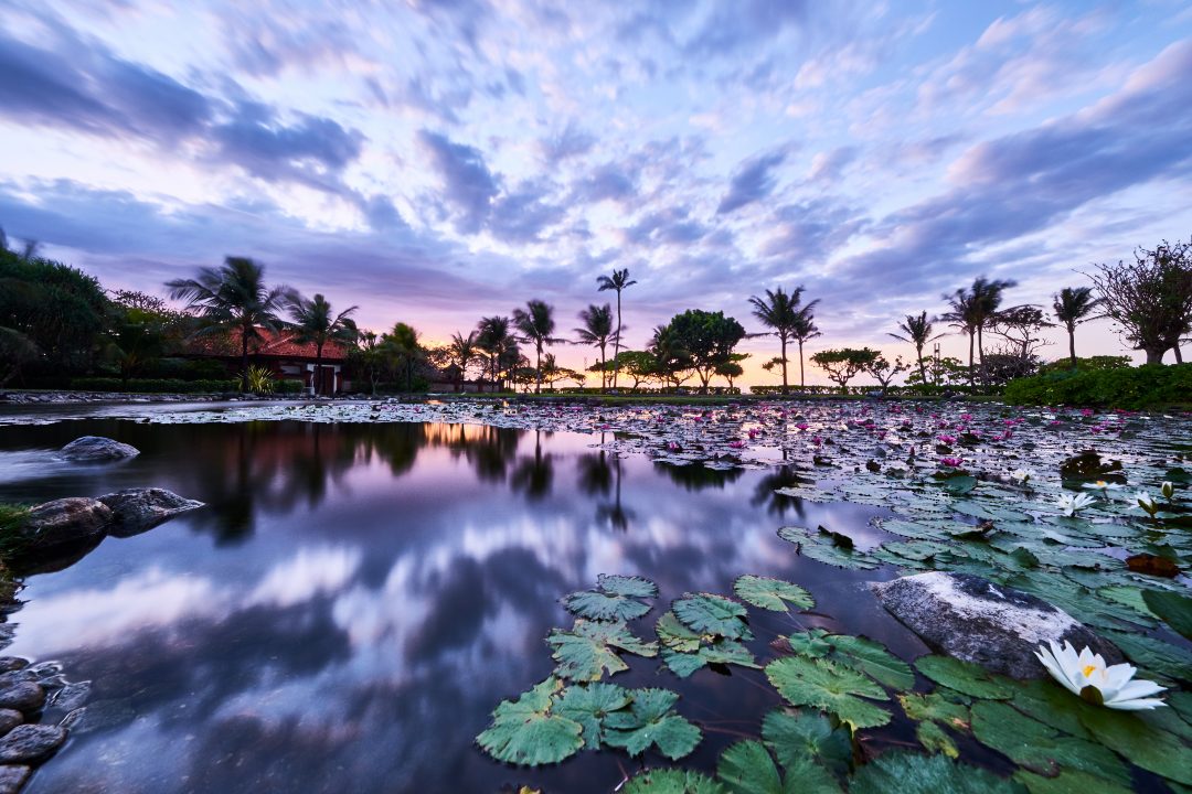 Gianluca Colla | XF8-16mmF2.8 R LM WR