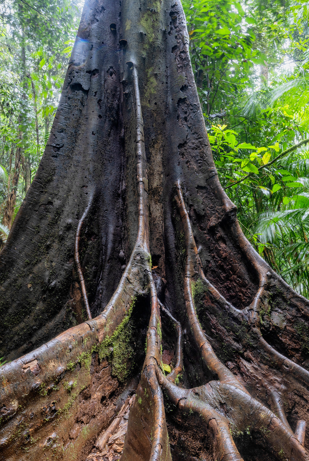 Glenn Mckimmin | GFX100S