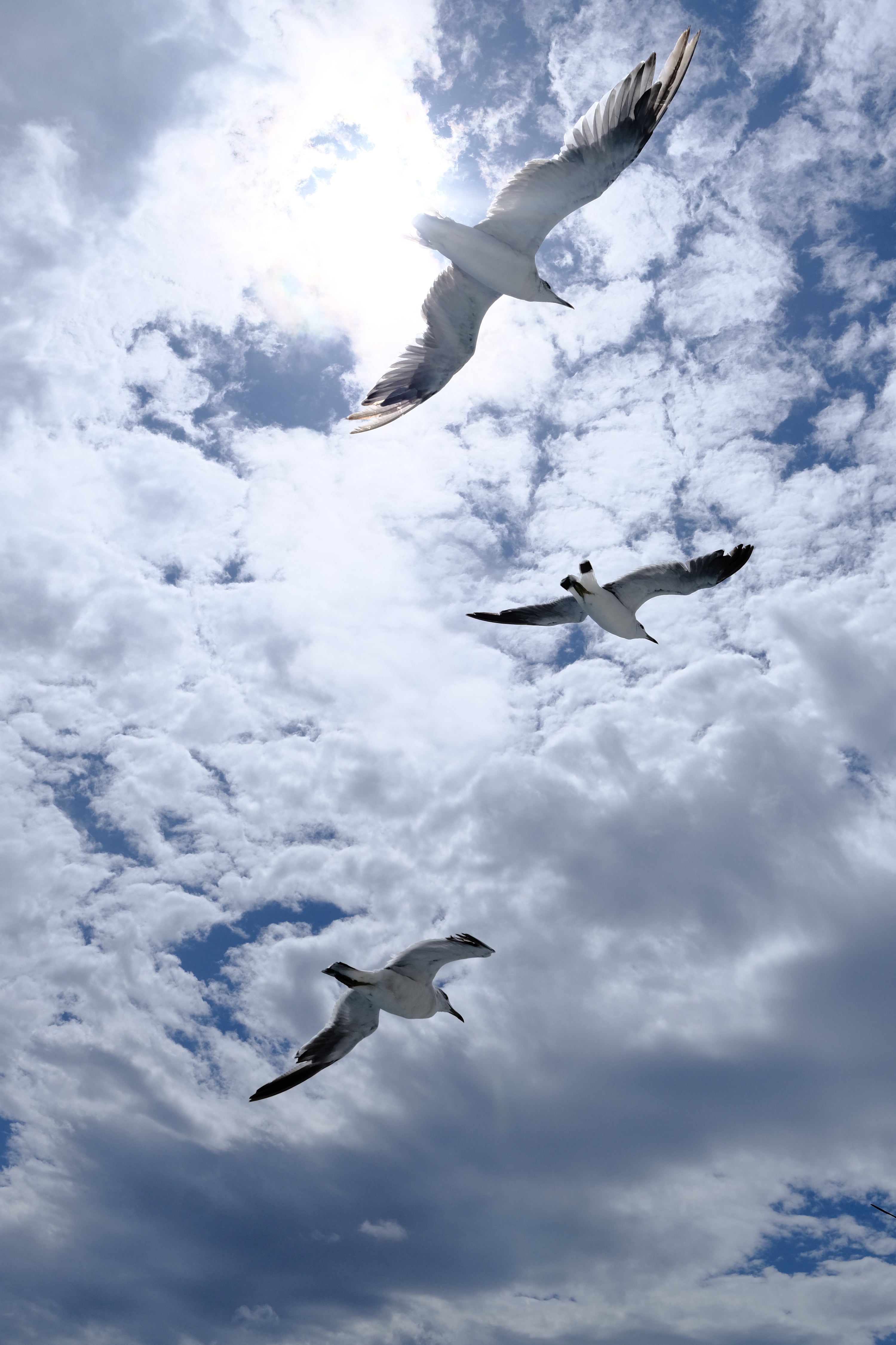 Yukio Uchida | XF23mmF1.4 R LM WR