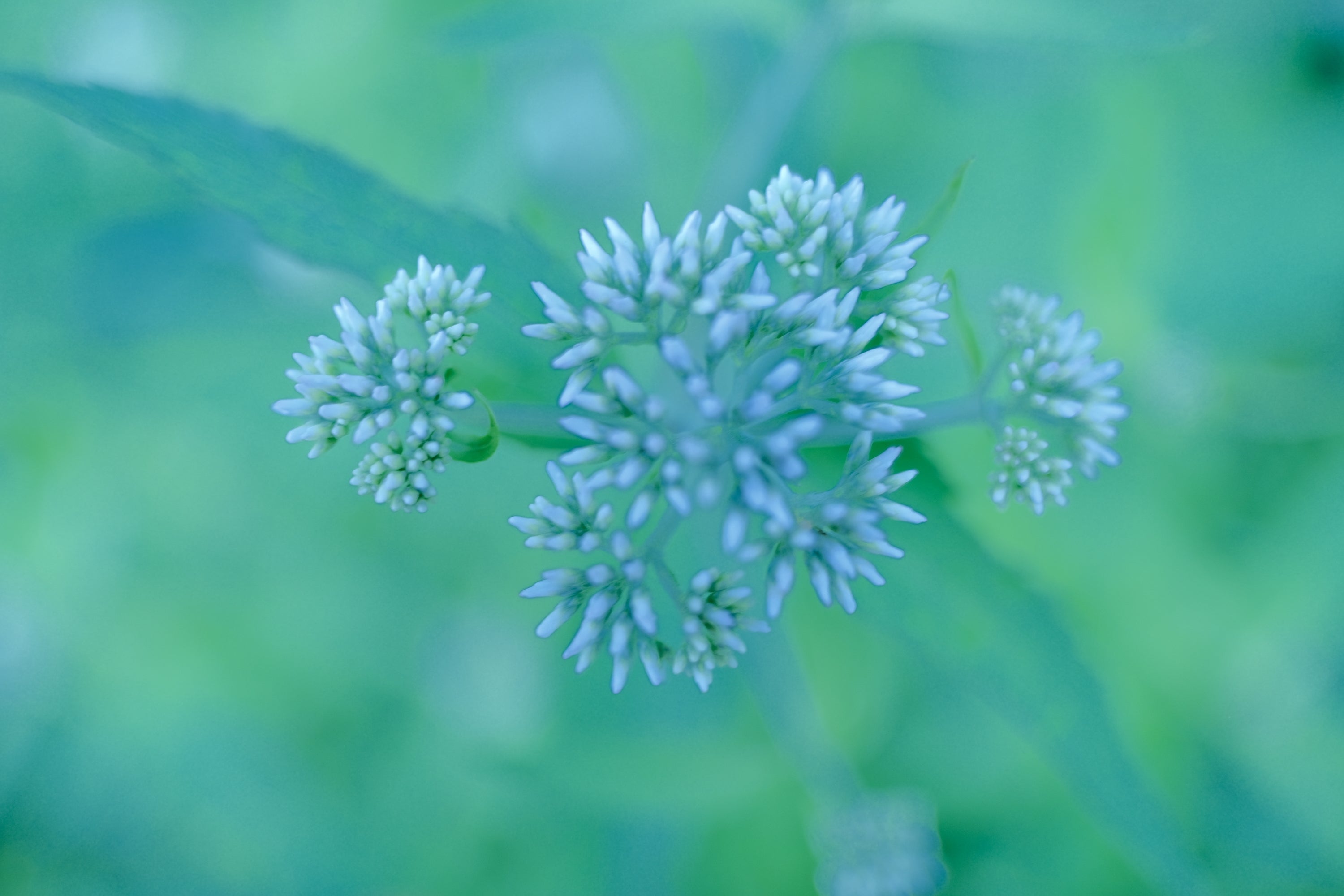 Yukio Uchida | XF23mmF1.4 R LM WR