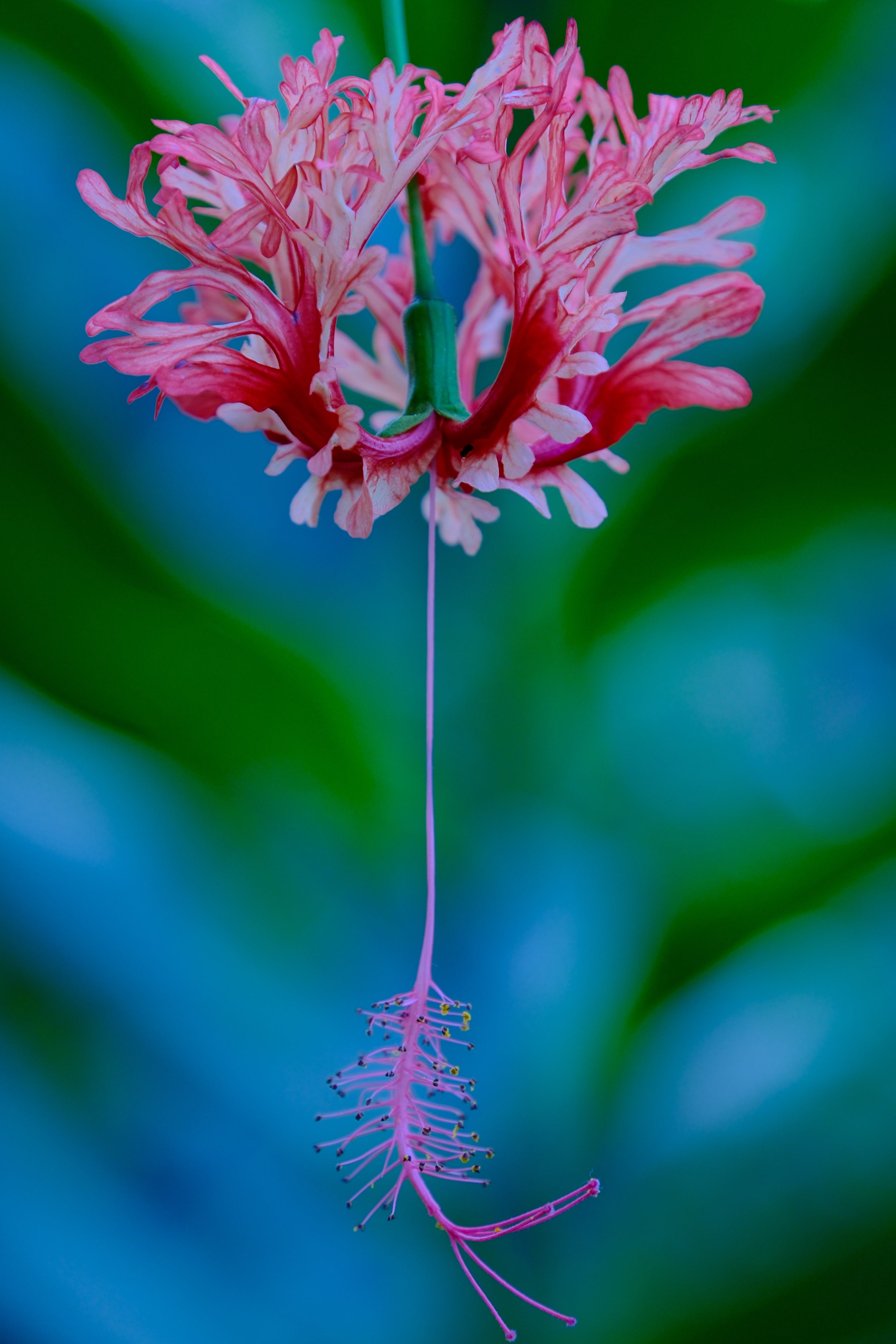 Yukio Uchida | XF18-120mmF4 LM PZ WR