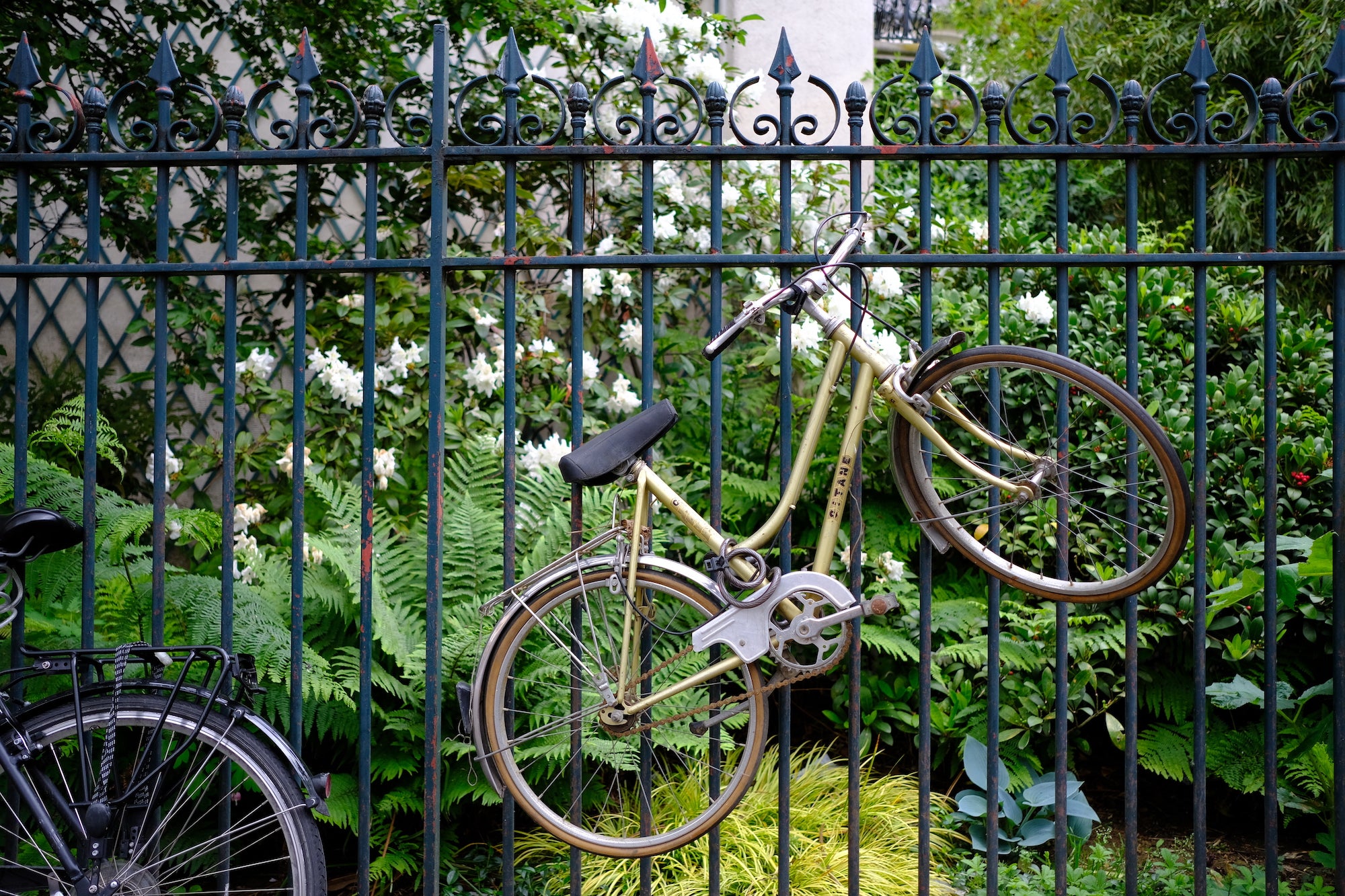 Norifumi Inagakid | XF23mmF2 R WR