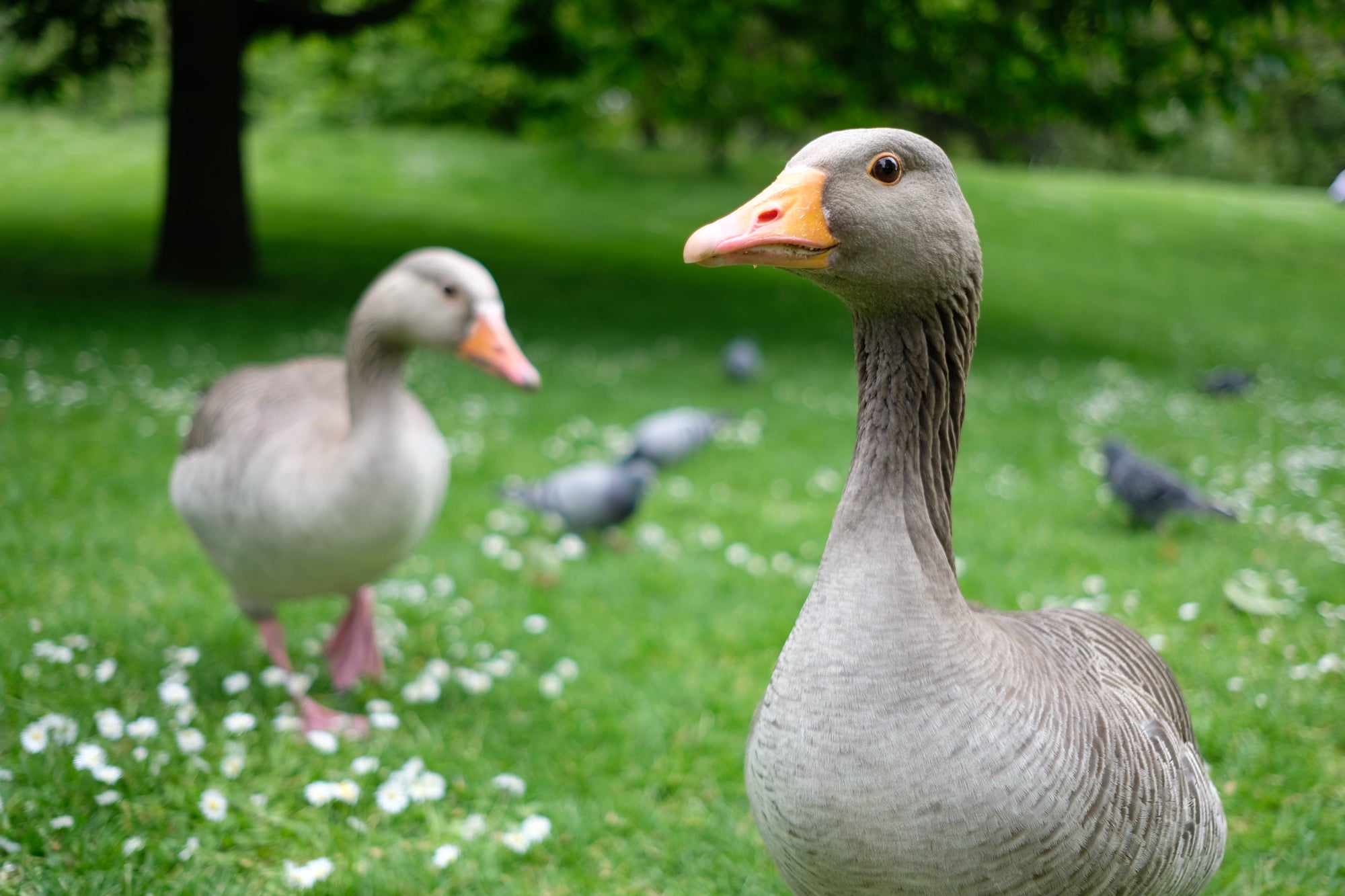 Norifumi Inagakid | XF23mmF2 R WR