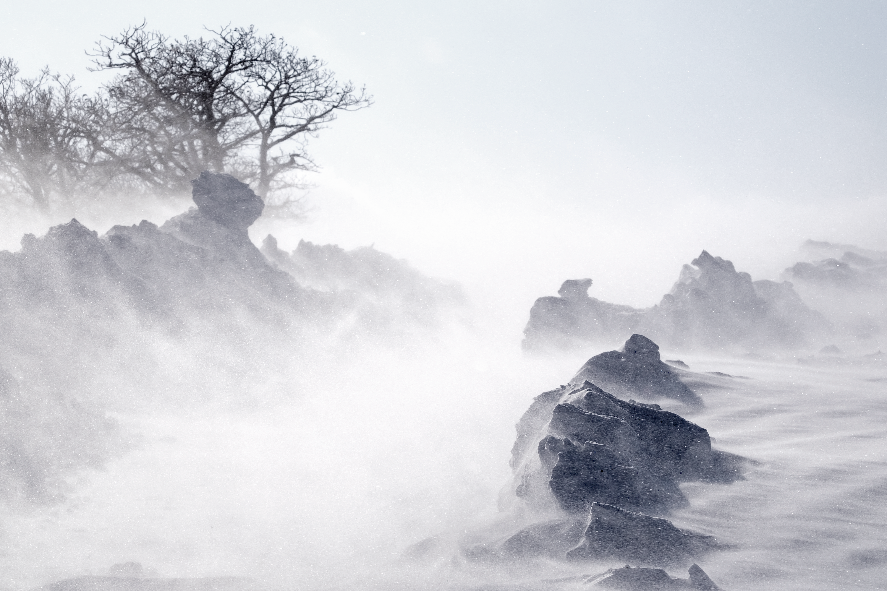 Beylnam Yoo | XF100-400mmF4.5-5.6 R LM OIS WR