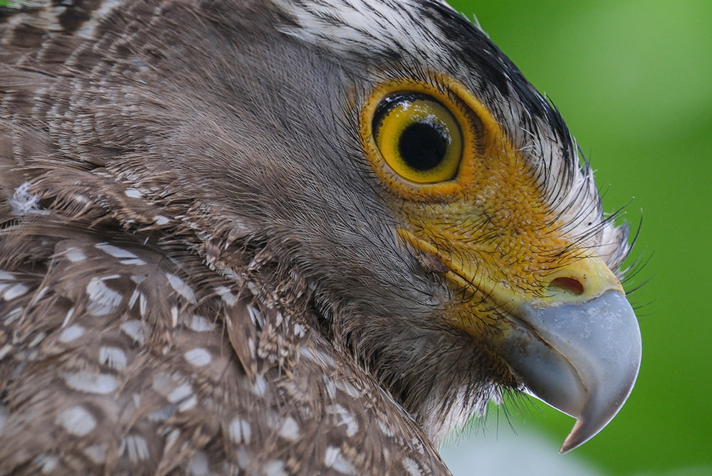 Masami Tanaka | XF150-600mmF5.6-8 R LM OIS WR