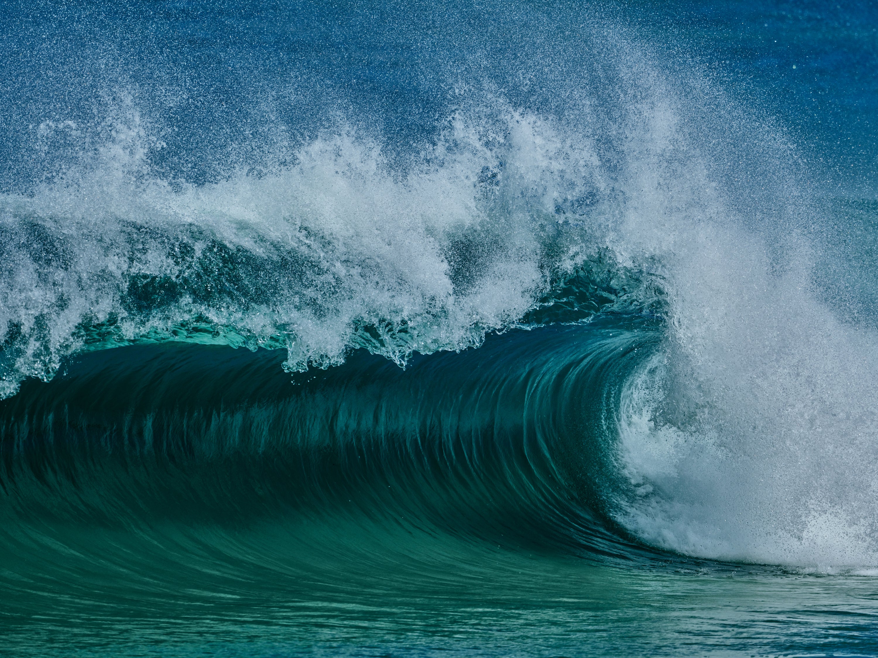 Russell Ord | GFX100S II