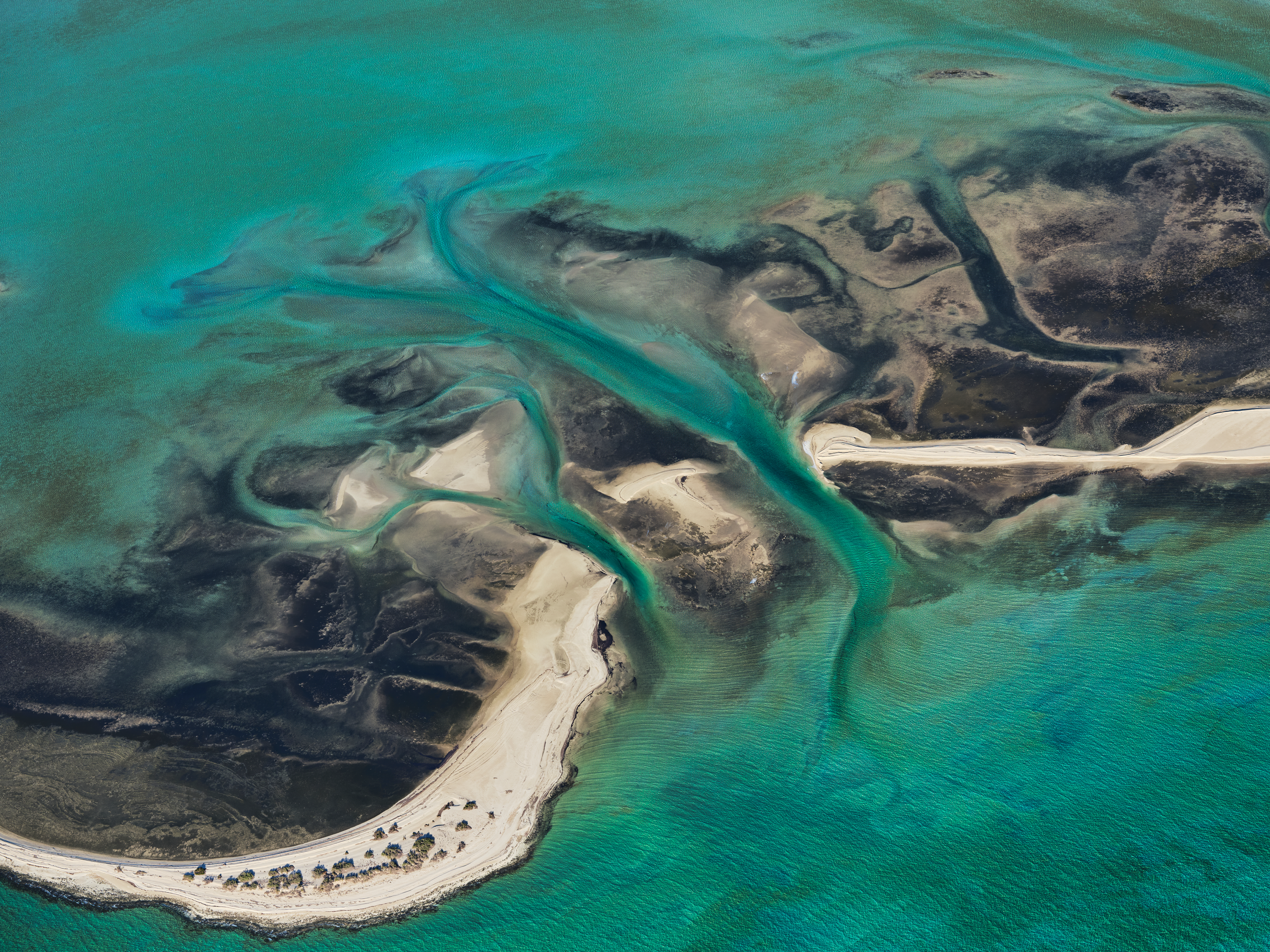 Tania Malkin | GFX100S II | GF110mm F2 R LM WR