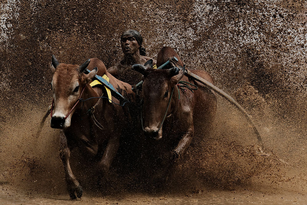 Ulet Ifansasti | XF150-600mmF5.6-8 R LM OIS WR