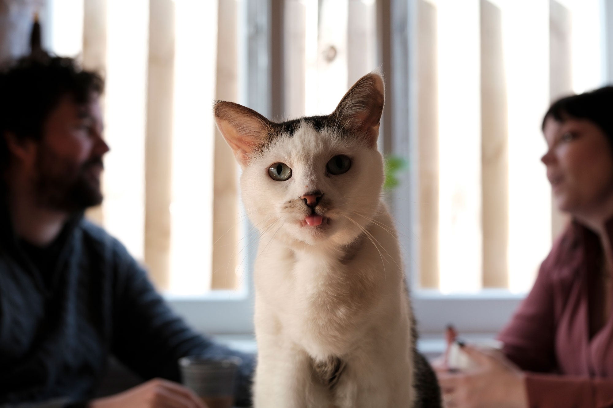 Jo Howell | X-T30III