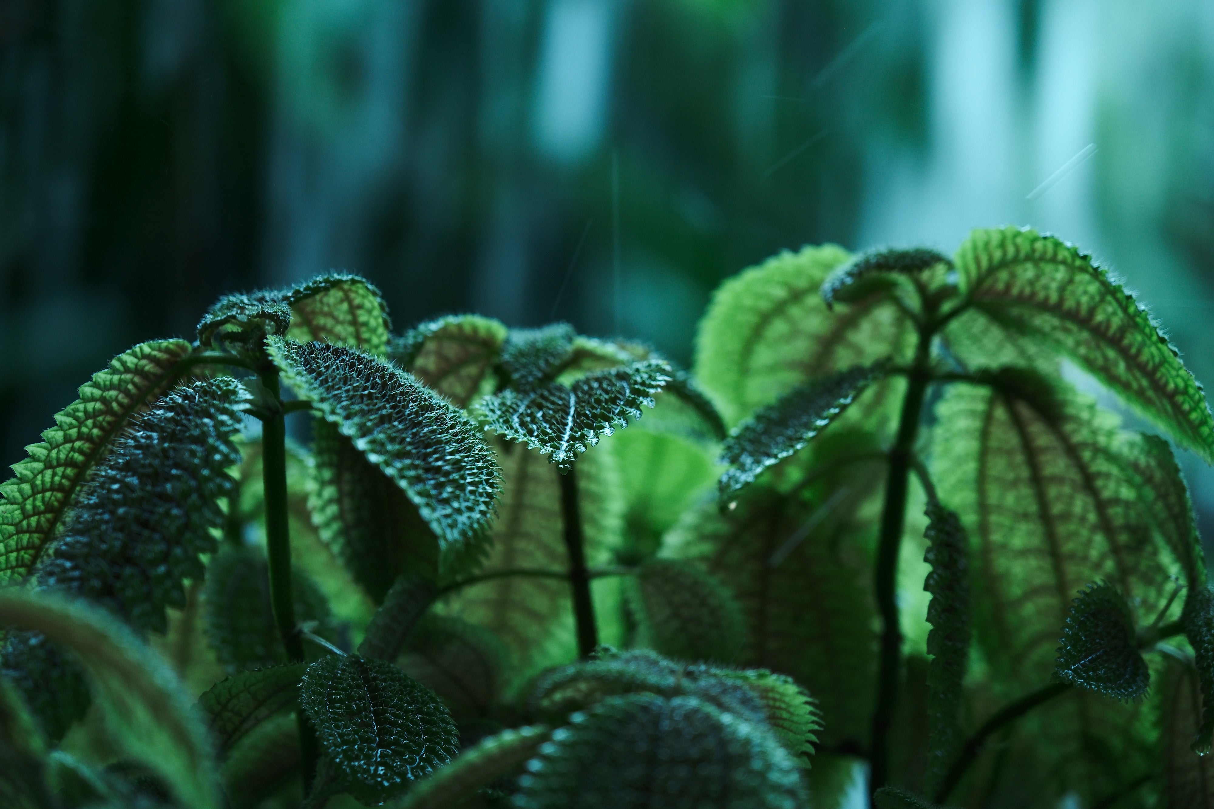 Ou Haichun | XF16-55mmF2.8 R LM WR II