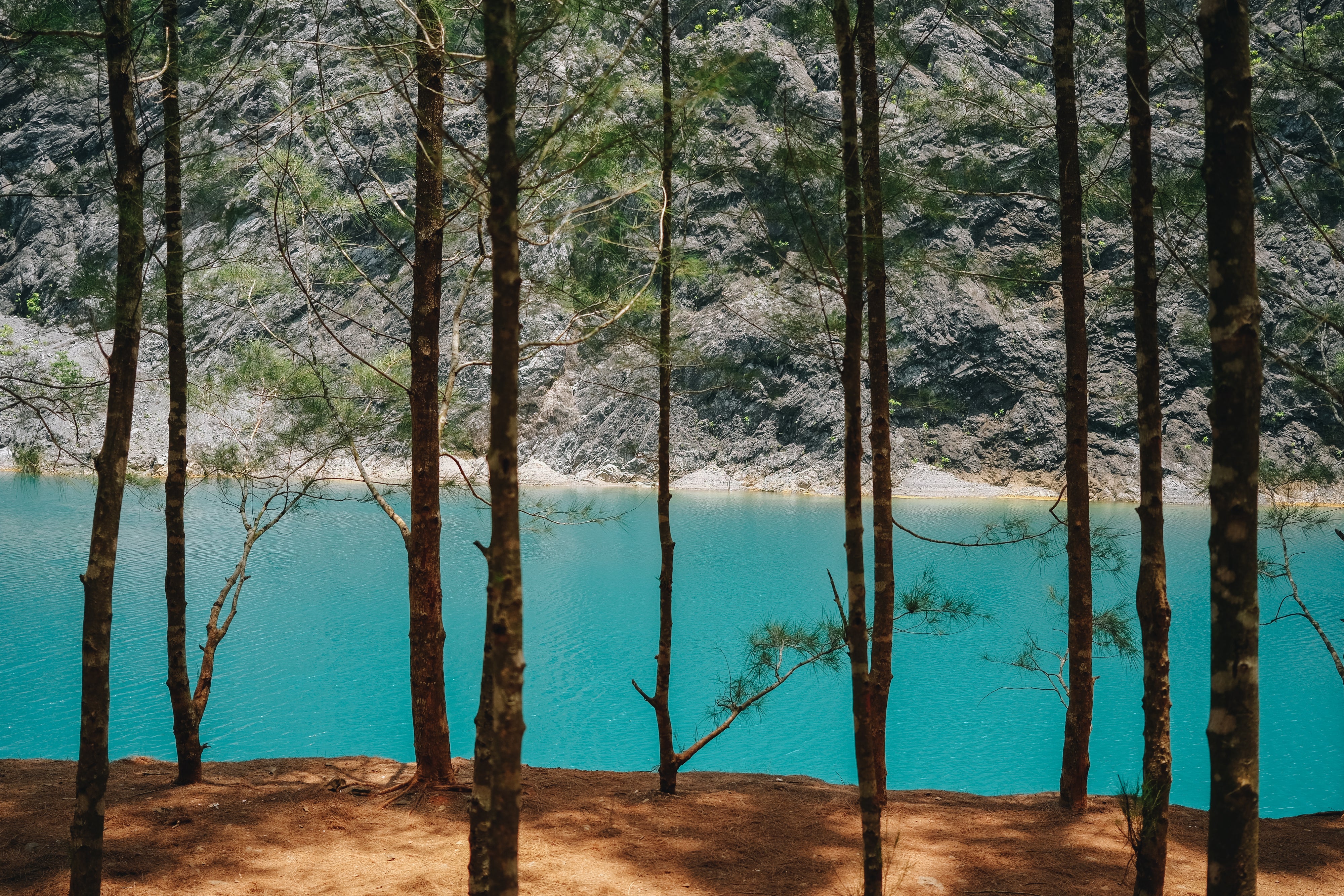 Pomma Partiew | XF23mmF2.8