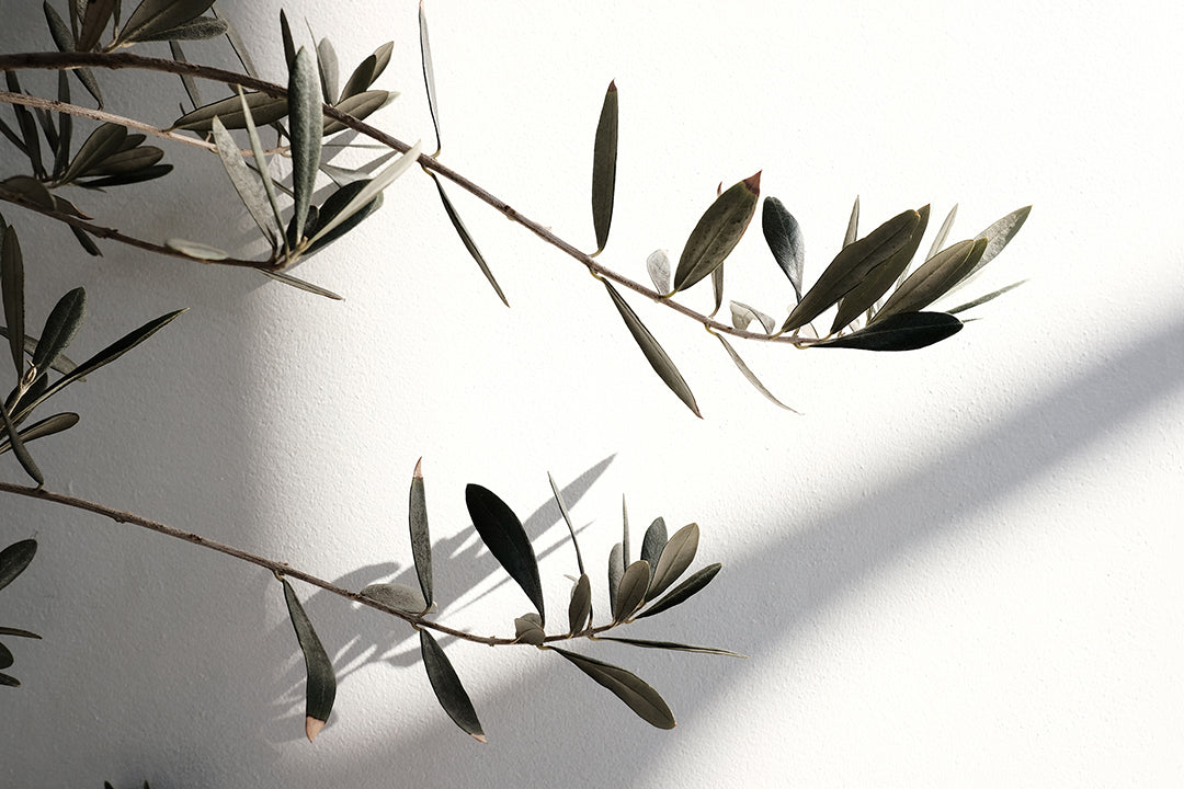 Yukio Uchida | XF16mmF2.8 R WR