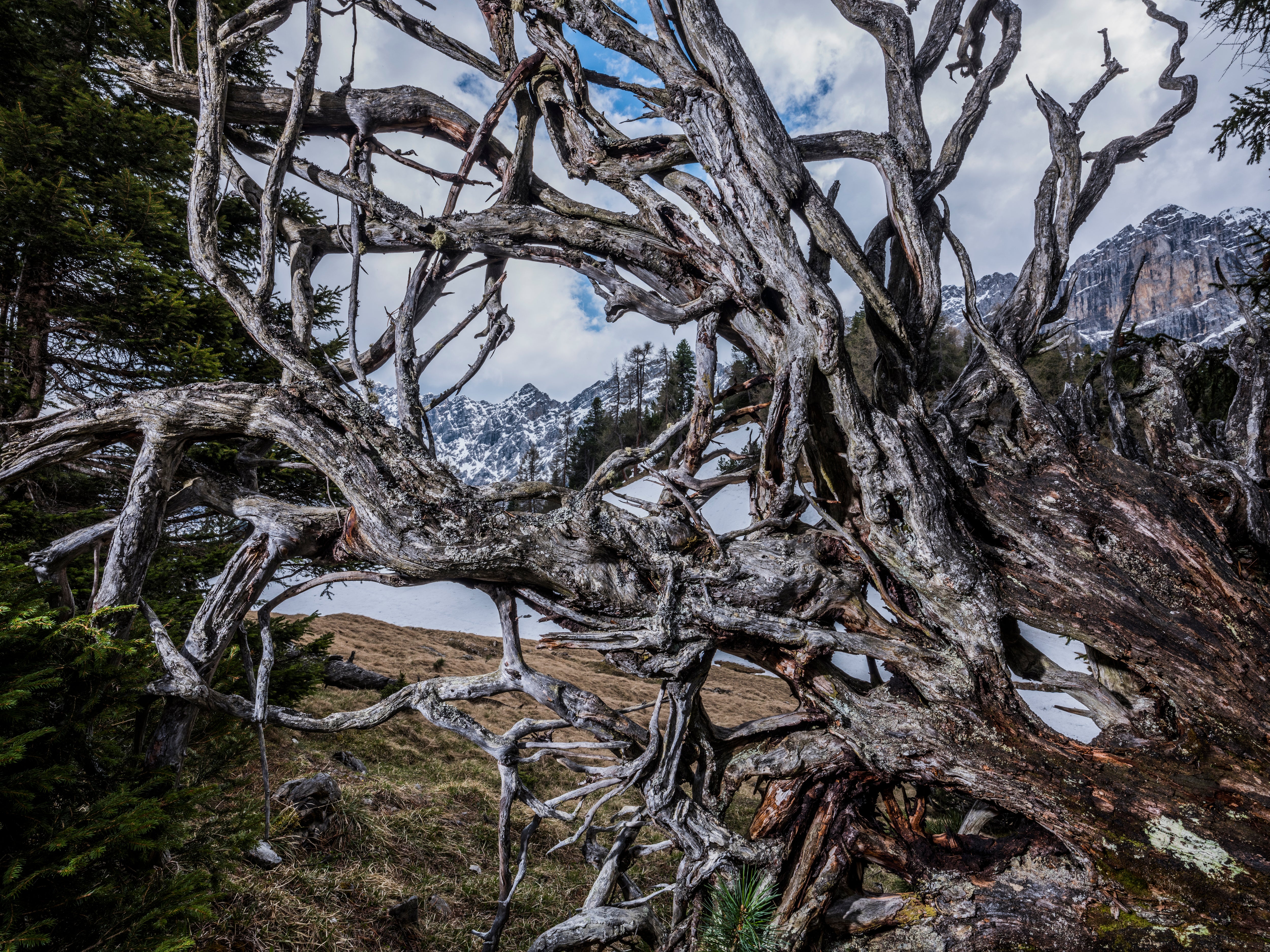 Heinz Zak | GF23mmF4 R LM WR