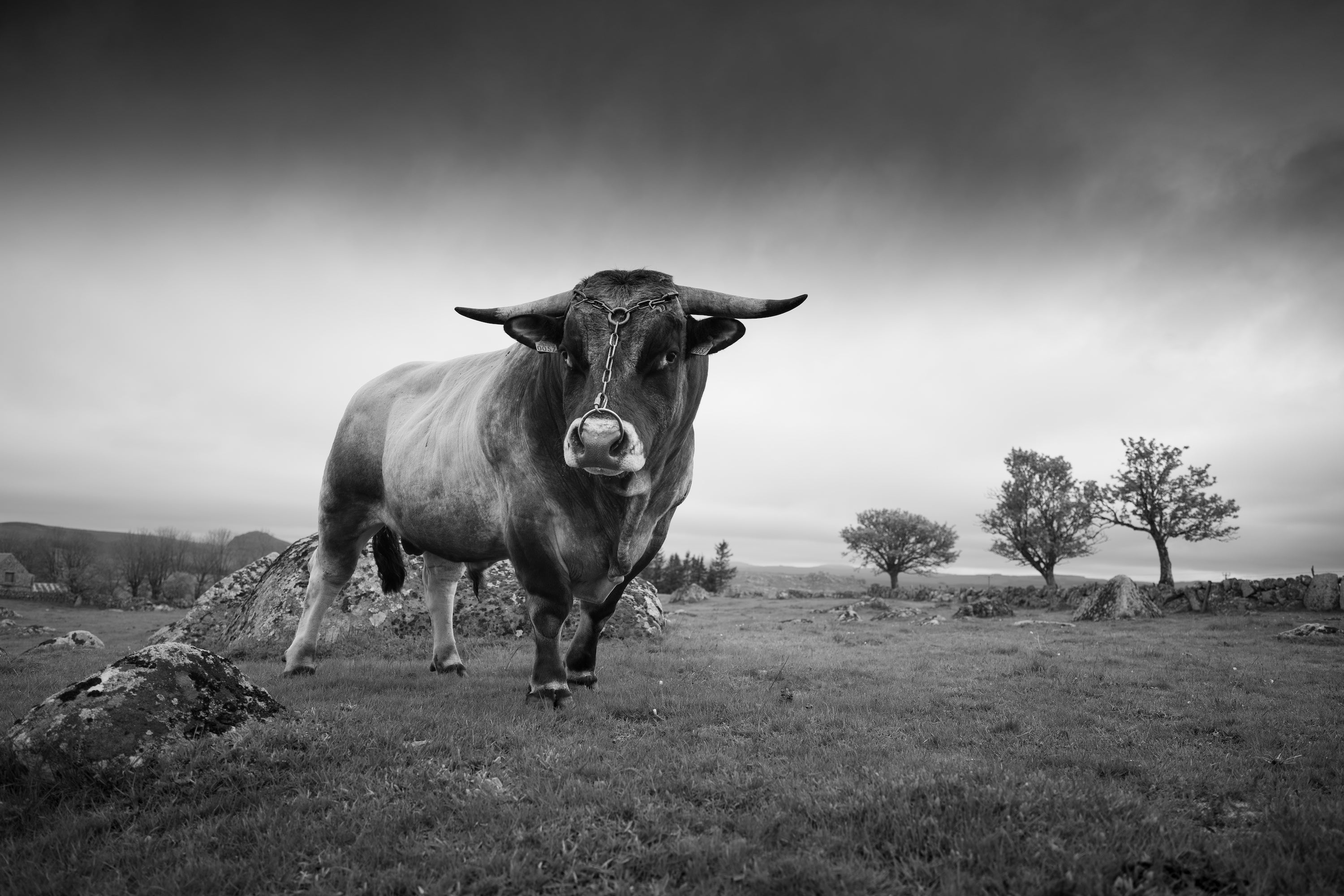 Jean-Michel Lenoir | GF30mmF3.5 R WR