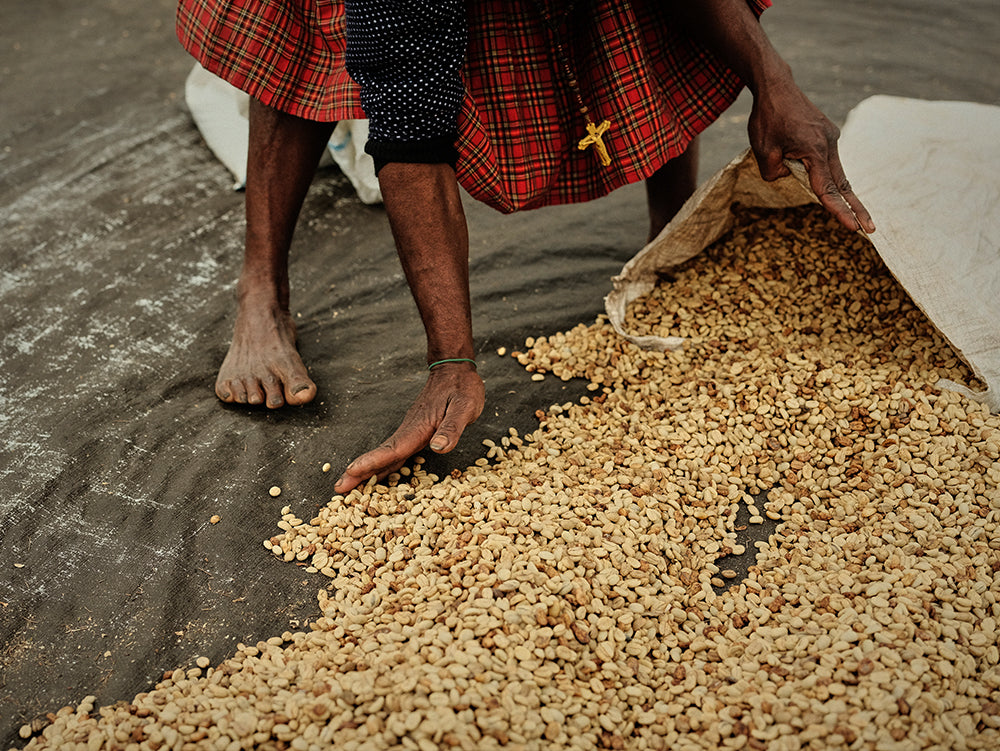 Beawiharta | GF45mmF2.8 R WR