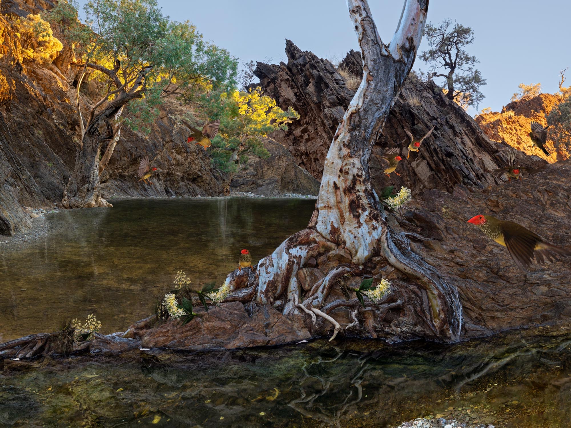 Gary Heery | GF32-64mmF4 R LM WR