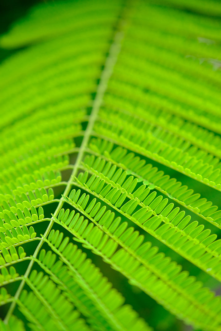 Norifumi Inagaki | XF50mmF2 R WR