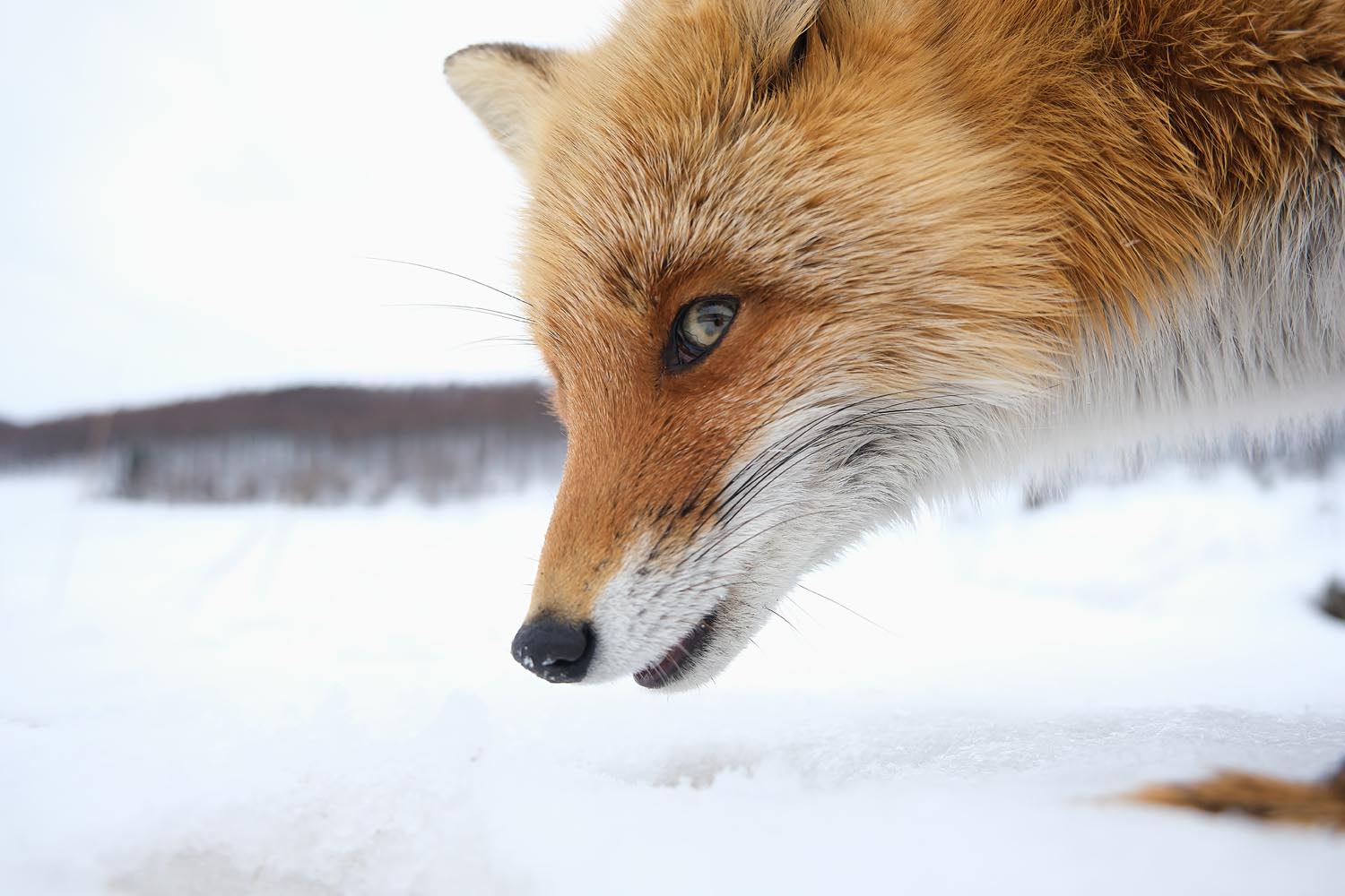 Tadateru Takahashi | XF16-80mmF4 R OIS WR