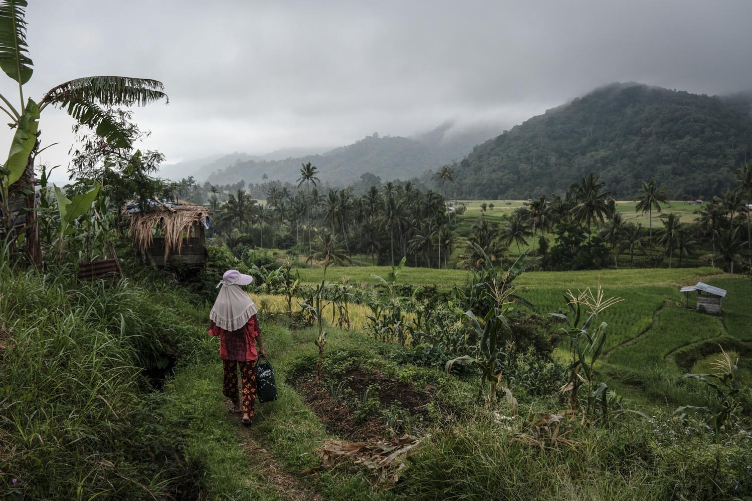 Ulet Ifansasti | XF16-80mmF4 R OIS WR