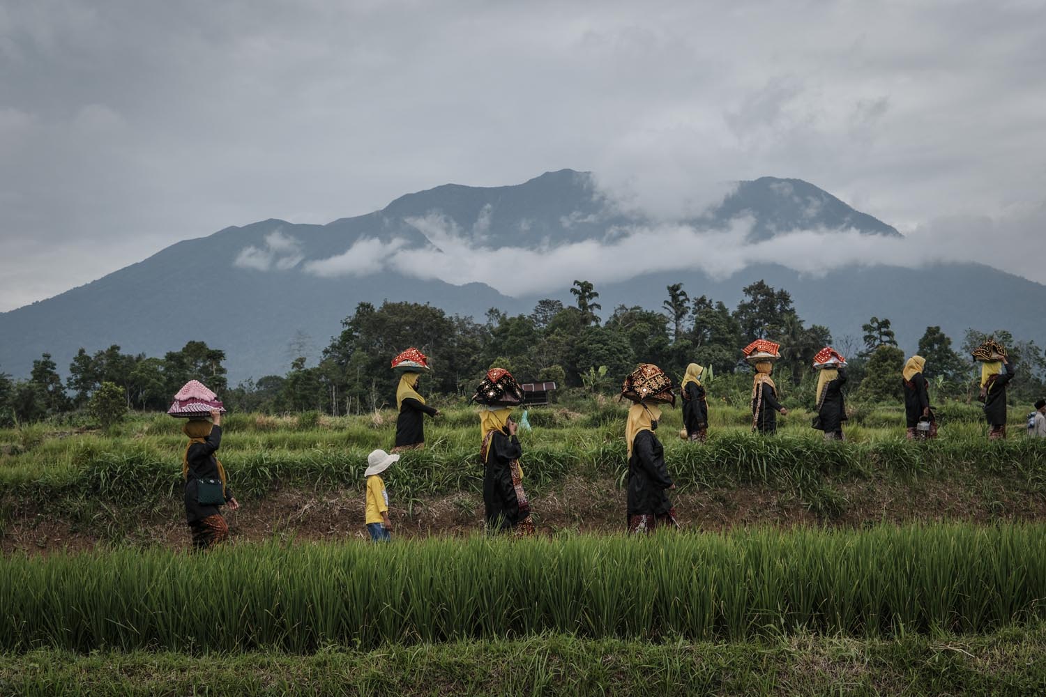 Ulet Ifansasti | XF16-80mmF4 R OIS WR