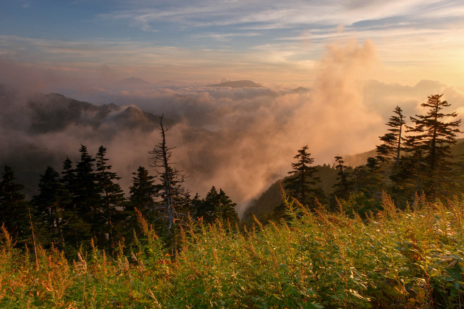 Shiro Hagihara | XF16-80mmF4 R OIS WR